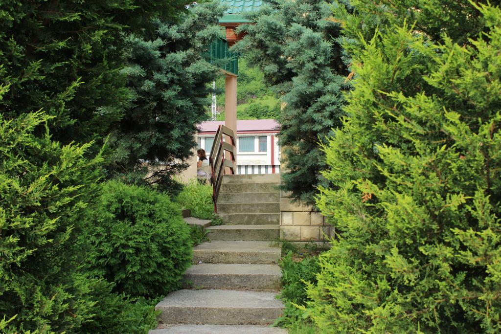 Guesthouse Eko Piva Plužine Eksteriør billede